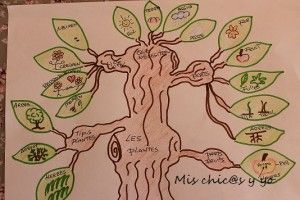 Mapa mental primaria