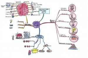 Mapa_mental_1