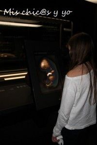 Pantallas interactivas Museu Blau