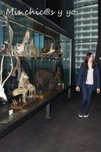 Museo ciencias naturales