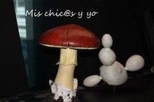 Maqueta seta ciencias naturales