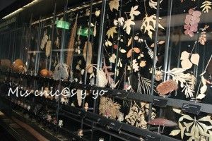 Museo de Ciencias Naturales de Barcelona