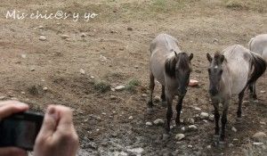 Turismo en Burgos