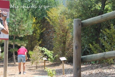 Turismo Espluga de Francolí