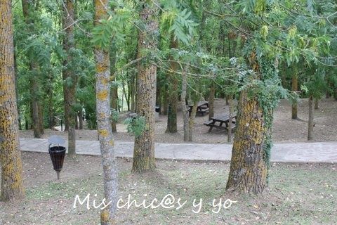 Mesas de picnic en Fontibre. Cantabria