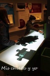 Museu de la Ciencia i la Ténica Terrasa