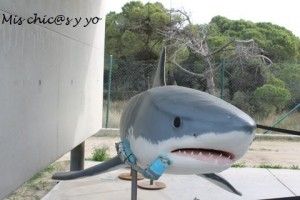 Reproducción de tiburón blanco