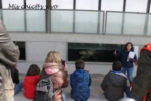 Residentes en el CRAM