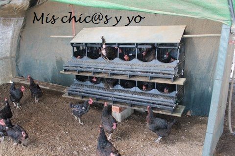 Horta Ecológica Pla de Munt
