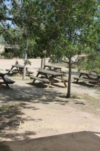 Pícnic en el Delta del Llobregat