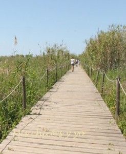 Itinerario de Cal Tet en el Delta del Llobregat