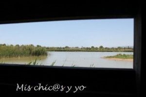 Observatorio de pájaros en el Sabogal