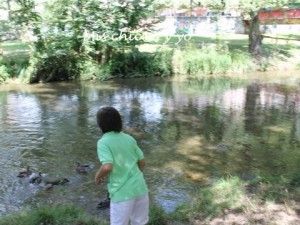 Gestión de emociones en niños