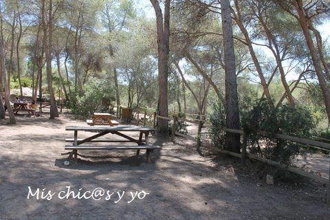 Zona de picnic en el conjunto ecohistóric0 del Pont del Diable