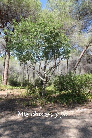 Jardín romántico Puig i Valls
