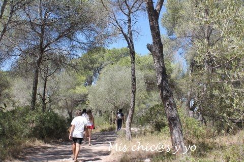 Parque ecohistórico del Pont Diable