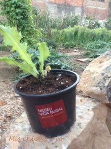 Taller de l'hort