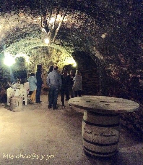 Visita a las cavas Canals & Casanova