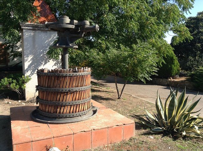 Elaboración de cava