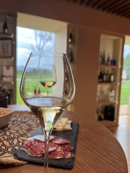 Aperitivo y cata en cavas Vilarnau
