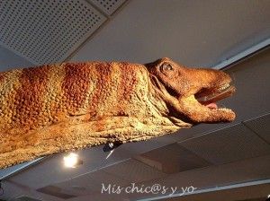 Noche con dinosaurios en Sabadell