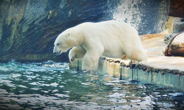 Zoo Praga