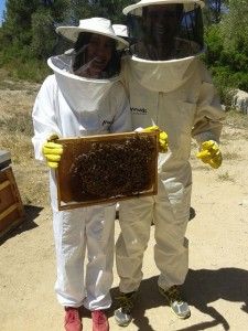 Productores de miel, Benvinguts a pagès