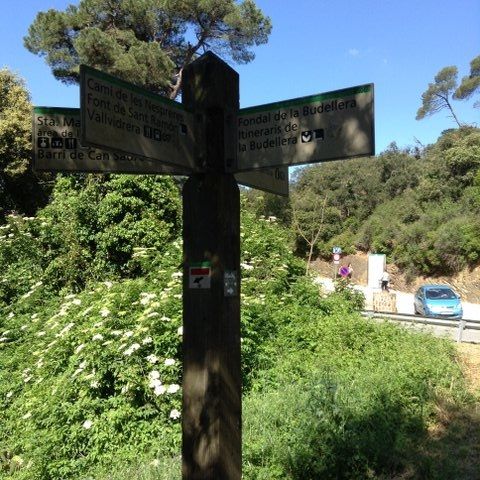 paseos Collserola