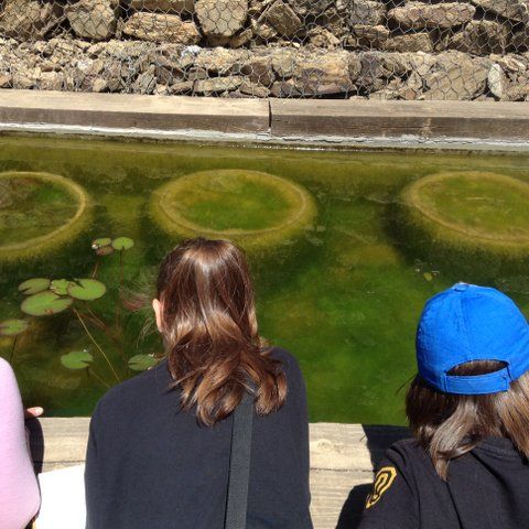 actividades museu ciencies naturals barcelona