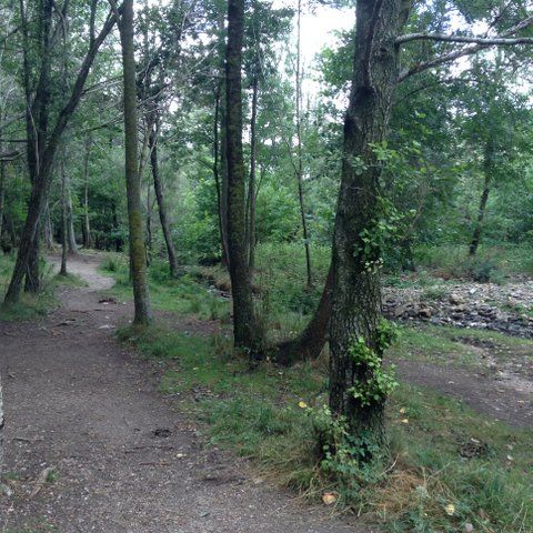 Santa Fe de Montseny