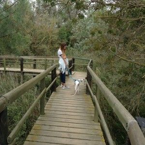 Paseos por l'Empordà