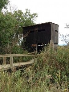 Observatorio de pájaros