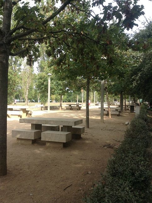 ona picnic la draga