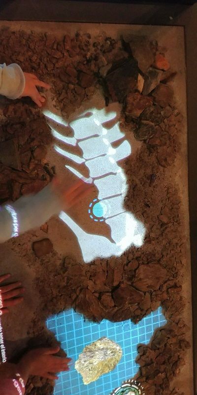 Exposición Dinosaurios Barcelona
