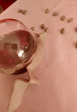 Maqueta de una célula para primaria