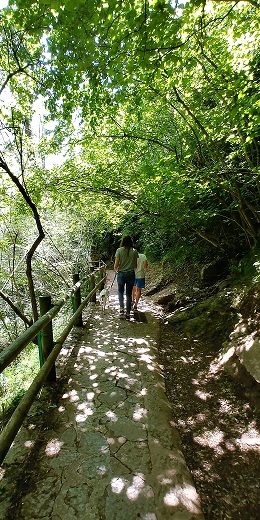 Fonts del Llobregat