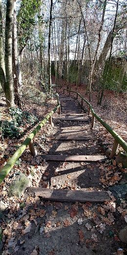 Roureda Parc Nou Olot