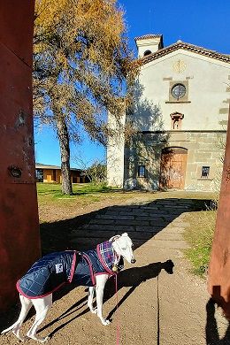  Fachada de la Ermita de sant Francesc. Olot