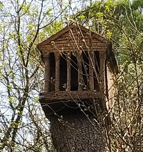 Comedero domus de pájaros