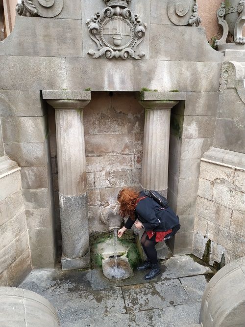 Detalle de la Font del Lleó en Caldes de Montbui
