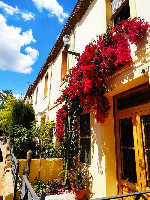 Calle de la Colonia con balcones llenos de flores