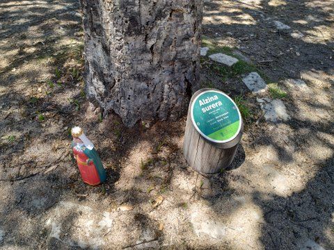 Cartel informativo de árbol