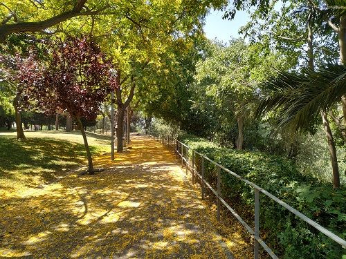 Detalle del parque de Esplugues de Llobregat