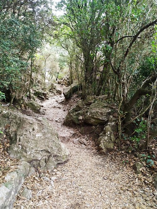Camino al castillo viejo de Pyrepertuse