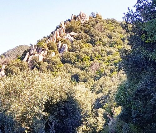 Agulles del Petintó