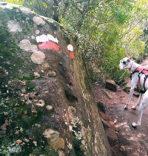 Indicador de la ruta al castillo de Eramprunyà