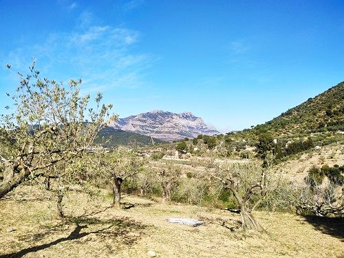 Inicio de la ruta al mirador de les espases