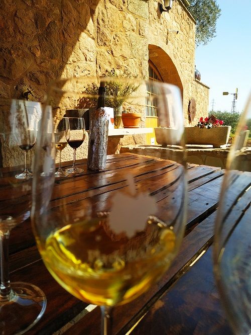 Cata de vinos, Collbaix 