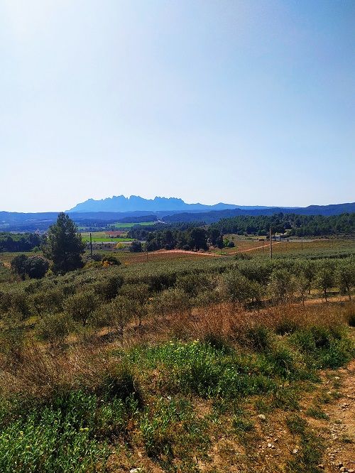 Vistas de Montserrat desde Sant Joan de Vilatorrada