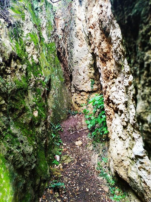 Les Escletxes, El Papiol, Collserola